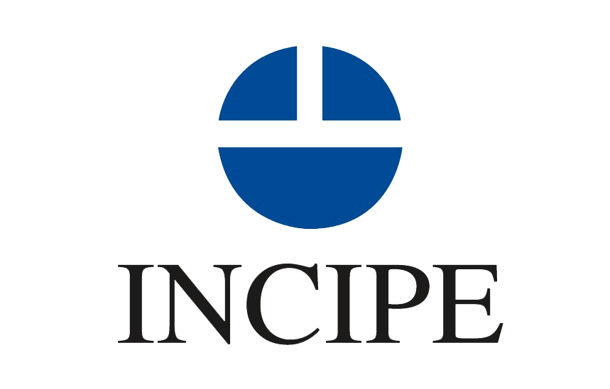 INCIPE:Instituto de Cuestiones Internacionales y Política Exterior